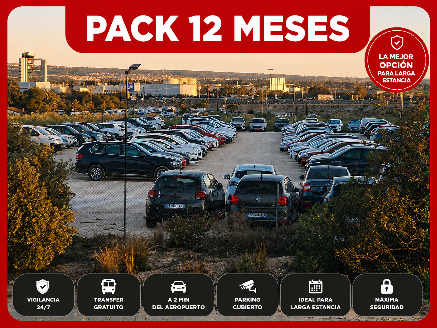 Pack 12 meses